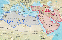 在中东和北非地区开展业务：埃及