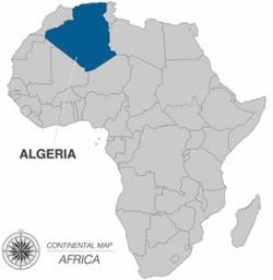 阿尔及利亚翻译和本地化